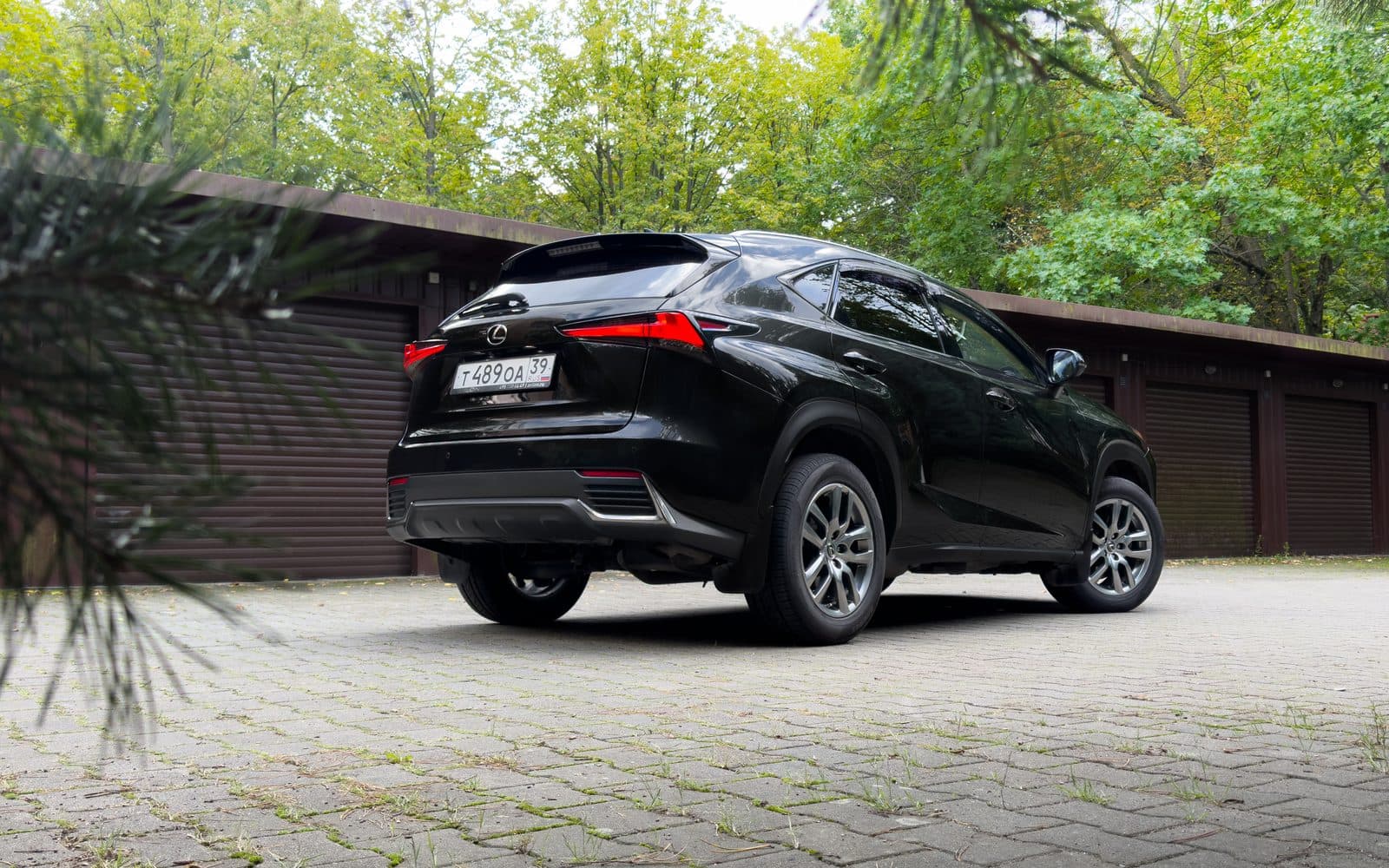 LEXUS NX200 2020 — фото 3 в аренду в Калининграде — LiteRent